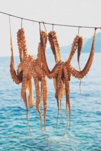 AdobeStock 86731120 768x1151 1 200x300