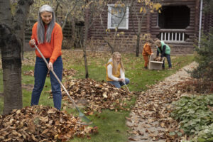 Garden Cleaning Service 300x200
